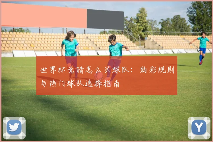 世界杯竞猜怎么买球队：购彩规则与热门球队选择指南