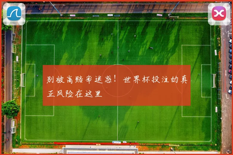别被高赔率迷惑！世界杯投注的真正风险在这里
