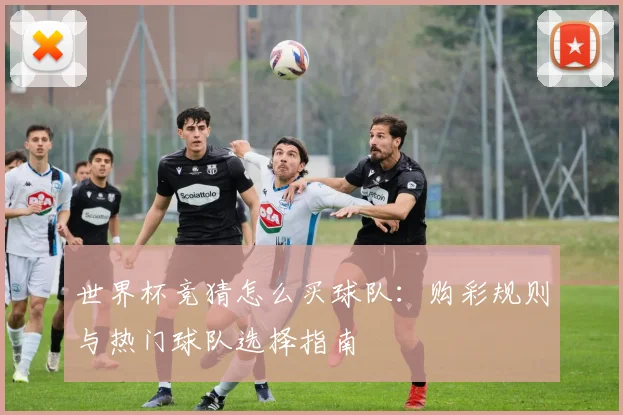 世界杯竞猜怎么买球队：购彩规则与热门球队选择指南