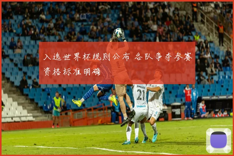 入选世界杯规则公布 各队争夺参赛资格标准明确